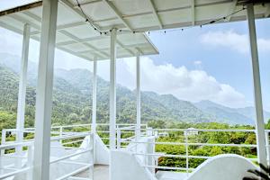 Phòng Dream Giường đôi (Dream Double Room)