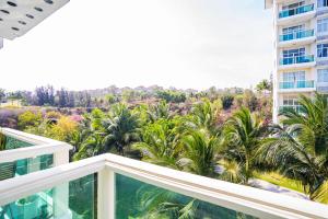 Phòng Studio Hướng vườn (Studio Garden View)