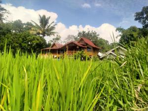 Phòng Giường Đôi Nhìn Ra Núi (Double Room with Mountain View)