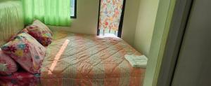Căn Hộ 1 Phòng Ngủ (One-Bedroom Apartment)