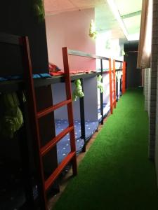 Phòng Ngủ Tập Thể 6 Giường Cho Cả Nam Và Nữ (6-Bed Mixed Dormitory Room)