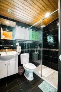Phòng 4 người Nhìn ra cảnh Núi non (Quadruple Room with Mountain View)