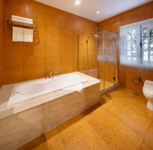 Suite Executive (Executive Suite)