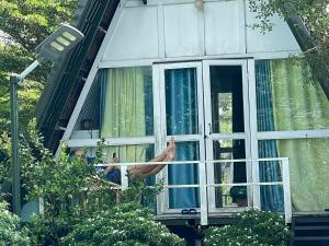 Bungalow Deluxe Nhìn Ra Khu Vườn (Deluxe Bungalow with Garden View)