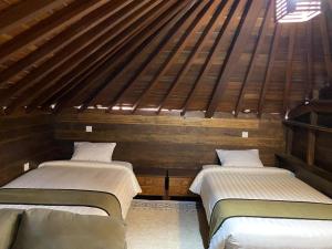 Căn Hộ Áp Mái (Loft)