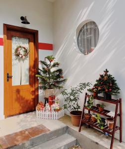 Phòng Giường Đôi Có Sân Hiên (Double Room with Terrace)