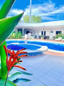 Phòng 2 Giường Đơn Nhìn Ra Hồ Bơi (Twin Room with Pool View)