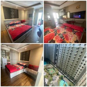 Căn Hộ 1 Phòng Ngủ (One-Bedroom Apartment)