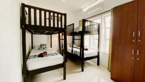 Giường Tầng Trong Phòng Ngủ Tập Thể Cho Nam Và Nữ (Bunk Bed in Mixed Dormitory Room)