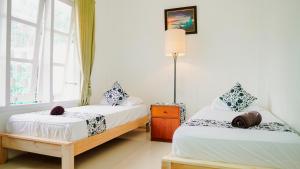 Phòng Hai Giường Đơn (Twin Room)