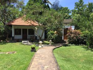 Bungalow 1 Phòng Ngủ (One-Bedroom Bungalow)