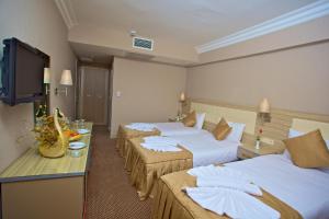 Standard Triple Room room in Laleli Emin Hotel