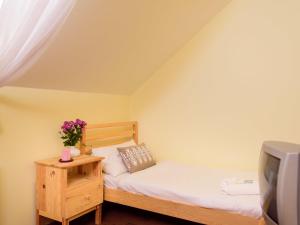 Single Room room in Hotel Stary Pivovar