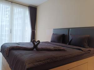 Studio Có Ban Công (Studio with Balcony)