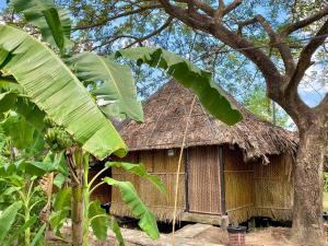 Bungalow Deluxe Nhìn Ra Sông (Deluxe Bungalows with River View (Riverfront))