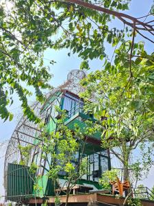 Bungalow Nhìn ra vườn (Bungalow with Garden View)