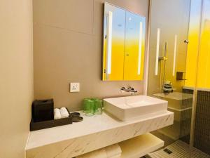Wink Lite Plus Queen Cityview