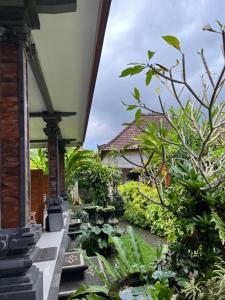 Phòng Giường Đôi Có Sân Hiên (Double Room with Terrace)