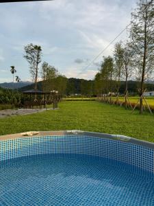 Biệt Thự Nhìn Ra Vườn (Villa with Garden View)