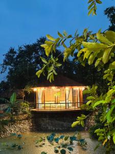 Bungalow Gia Đình (Family Bungalow)