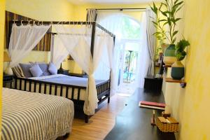 Phòng hướng hồ bơi có 2 giường (Twin Room with Pool View)