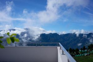 Suite 2 Tầng (Duplex Suite)