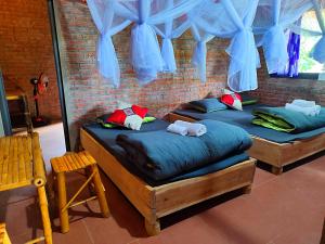 Phòng Ngủ Tập Thể Cho Cả Nam Và Nữ (Mixed Dormitory Room)