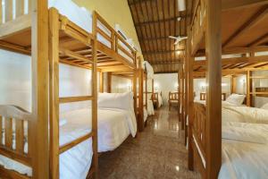 Giường Tầng Trong Phòng Ngủ Tập Thể Cho Nam Và Nữ (Bunk Bed in Mixed Dormitory Room)