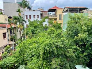 Phòng Có Giường Cỡ King Nhìn Ra Vườn (King Room with Garden View)