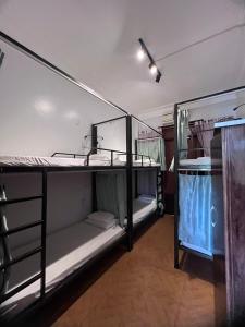Giường Tầng Trong Phòng Ngủ Tập Thể Cho Nam Và Nữ (Bunk Bed in Mixed Dormitory Room)