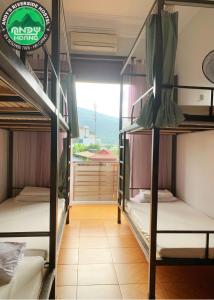 Giường Tầng Trong Phòng Ngủ Tập Thể Cho Nam Và Nữ (Bunk Bed in Mixed Dormitory Room)
