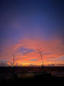 Phòng Đôi (Double Room)