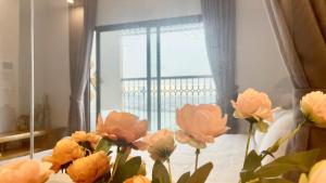 Căn Hộ 1 Phòng Ngủ (One-Bedroom Apartment)