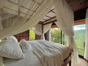 Biệt Thự 1 Phòng Ngủ (One-Bedroom Villa)