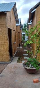Phòng Ngủ Tập Thể 6 Giường Cho Cả Nam Và Nữ (6-Bed Mixed Dormitory Room)