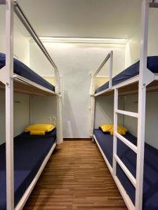 Giường Tầng Trong Phòng Ngủ Tập Thể Cho Nam (Bunk Bed in Male Dormitory Room )