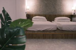 Phòng 2 Giường đơn với Phòng tắm Chung (Twin Room with Shared Bathroom)