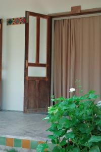 Phòng Đôi (Double Room)