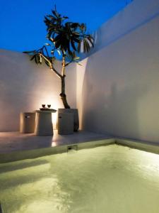 Biệt Thự Có Hồ Bơi Riêng (Villa with Private Pool)