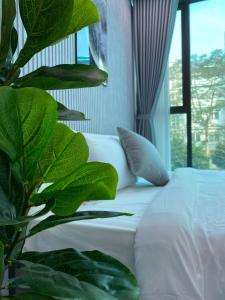 Phòng Giường Đôi Với Phòng Tắm Chung (Double Room with Shared Bathroom)