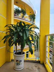 Phòng Tiêu Chuẩn Giường Đôi (Standard Double Room)