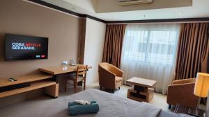 Căn Hộ Studio (Studio Apartment)