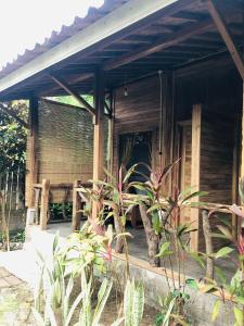 Phòng Đôi (Double Room)