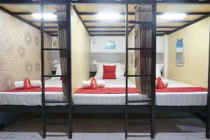 Giường Đơn trong Phòng ngủ tập thể (Single Bed in Dormitory Room)
