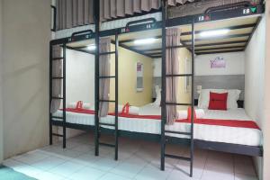 Giường Đơn trong Phòng ngủ tập thể (Single Bed in Dormitory Room)
