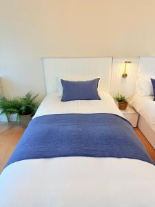 Căn Hộ 1 Phòng Ngủ Nhìn Ra Thành Phố (One-Bedroom Apartment with City View)