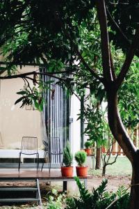 Phòng Có Giường Cỡ King Nhìn Ra Vườn (King Room with Garden View)