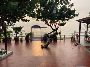 Phòng Có Giường Cỡ King Nhìn Ra Biển (King Room with Sea View)
