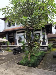 Phòng Giường Đôi Có Sân Hiên (Double Room with Terrace)