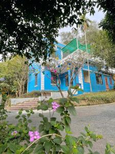 Căn hộ Tiêu chuẩn (Standard Apartment)